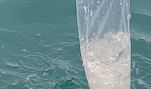 32e82fc0-5a8a-4cdd-ba1e-c68acc60d005