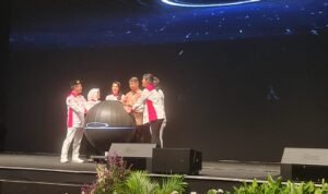 program (3)